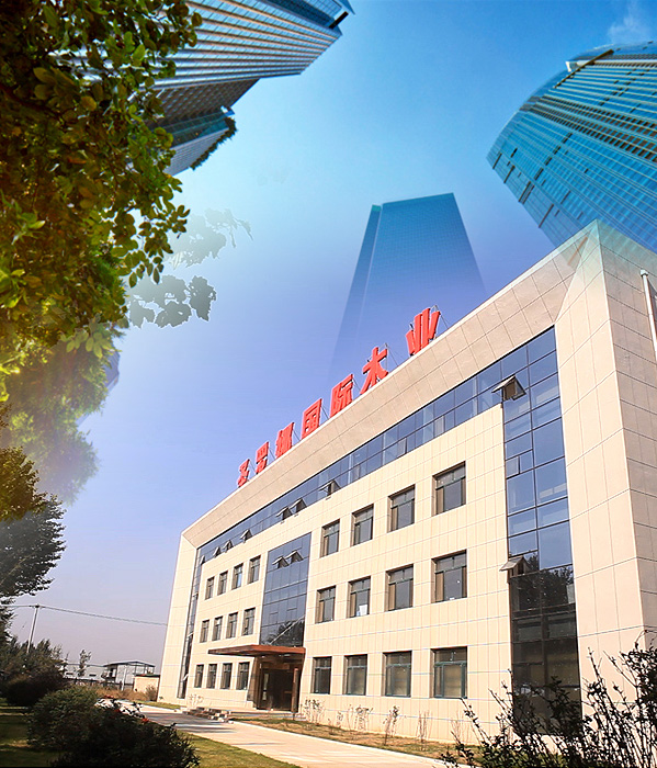 圣罗娜国际木业集团有限公司